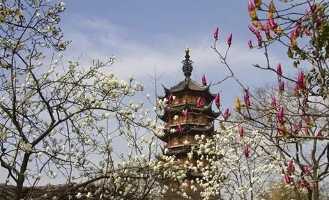 商丘红梅公园